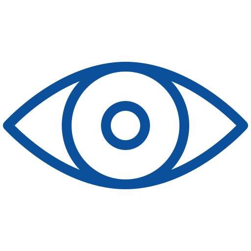 Vision